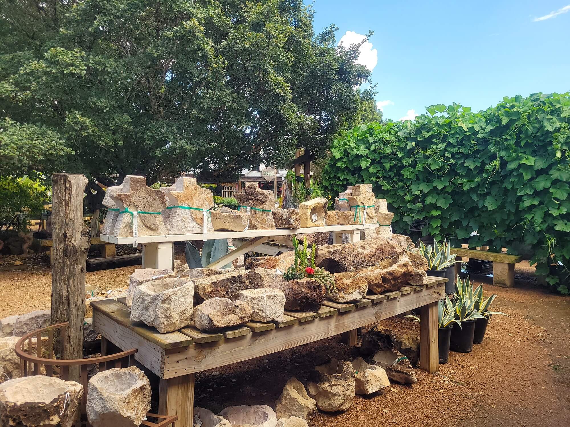 enchanted-garden plant pots