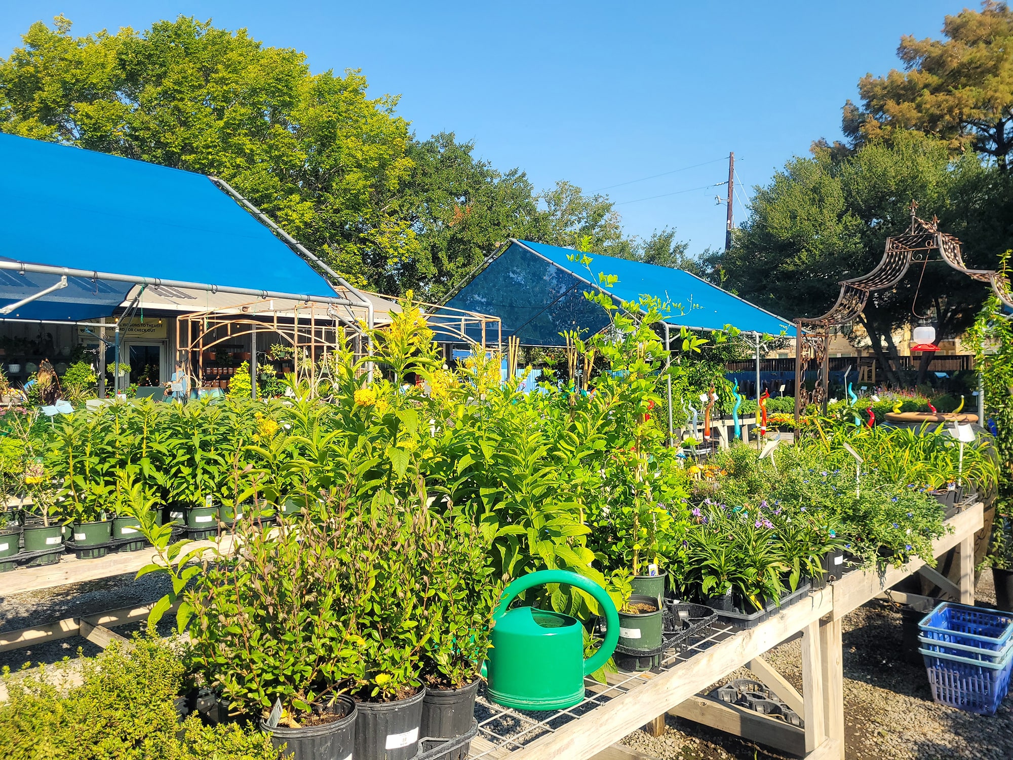 Nelson Water Gardens & Nursery outdoor decoration